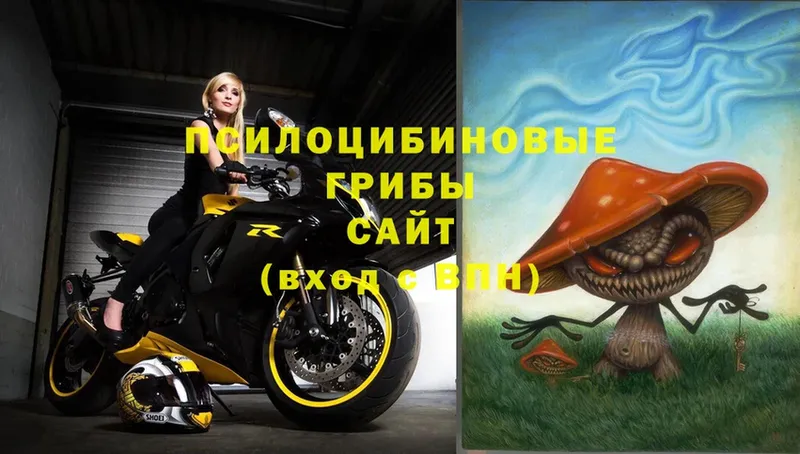 магазин    omg онион  Галлюциногенные грибы Psilocybe  Микунь 